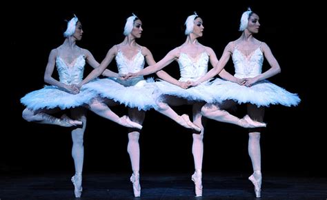 Balletto Il Lago Dei Cigni Opera De Paris Danzadance