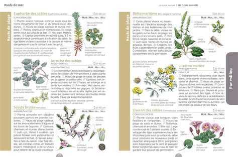 6 guides de référence pour identifier les fleurs sauvages facilement