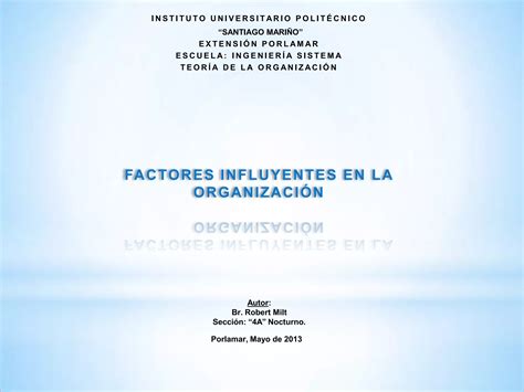 Factores Influyentes En La Organizaci N Ppt