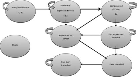 Illustration Of The Markov Model Used For Economic Analysis The