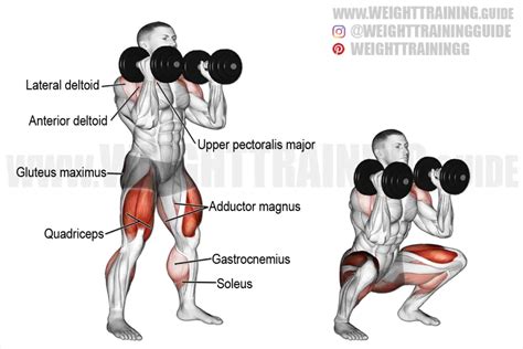 Dumbbell Front Squat Exercise Instructions And Video Weighttrainingguide