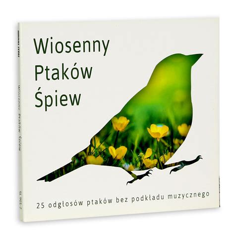 Wiosenny ptaków śpiew Ptasie śpiewy bez podkładu muzycznego Odgłosy