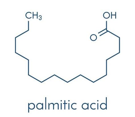 Palmitic Acid Biomall