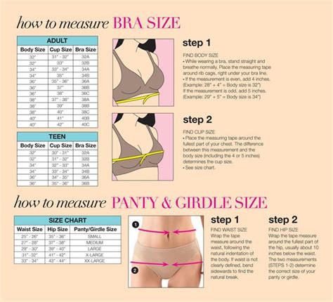 Image Result For Bra Sizes Measure Bra Size Bra Size Charts Bra Sizes