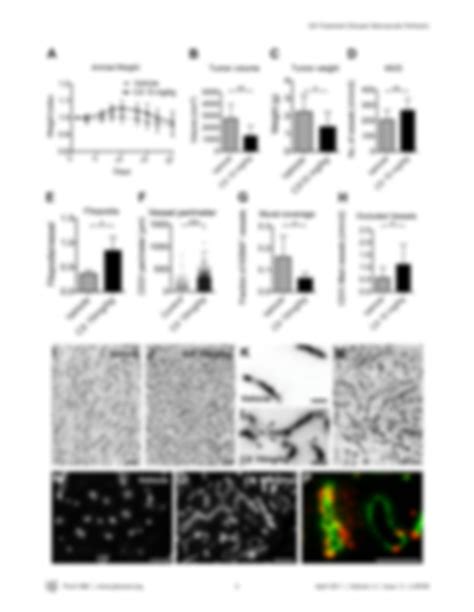 Solution Gamma Secretase Inhibitor Treatment Promotes Vegf A Driven