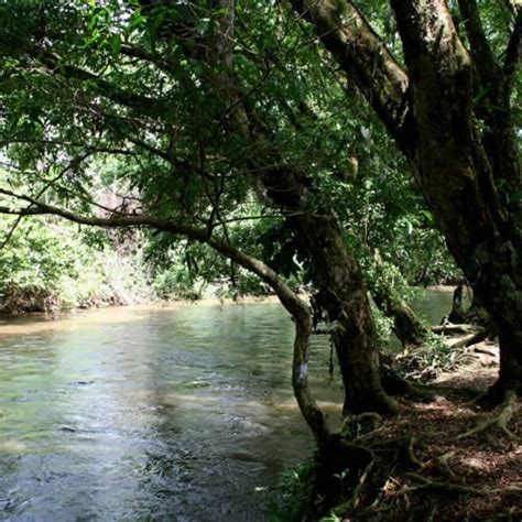 Orito Ingi-Ande Flora Sanctuary | BnB Colombia Tours