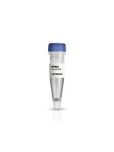 Amersham Ecl Direct Detection Reagents Cytiva Vwr