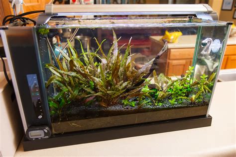 Fluval Spec V Aquarium Journal Spec Tanks