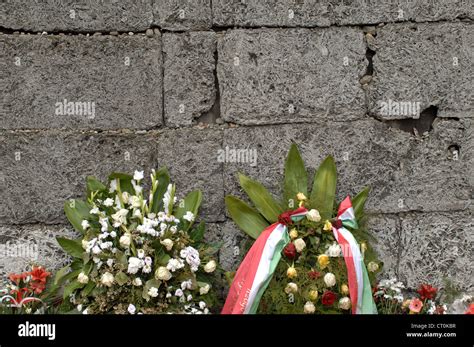 execution wall  blocks    auschwitz  concentration camp