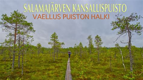 Vaellus Kansallispuiston Halki Salamaj Rven Kansallispuisto Youtube