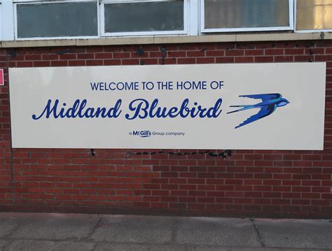 The HQ Off Midland Bluebird Andy Chalmers Flickr