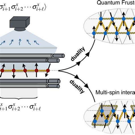 Scheme Of A Trapped Ion Dual Quantum Simulator The Combination Of