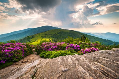 Appalachian Trail Roan Mountain Fine Art Landscape Photography Print