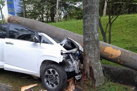 Sopir Diduga Mengantuk Mobil Tabrak Pohon Hingga Tumbang Di Cikarang