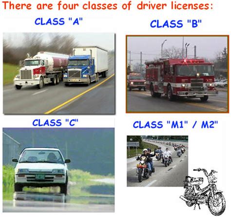 Getting Your California Drivers License Ca Drivers Ed Classes My California Permit