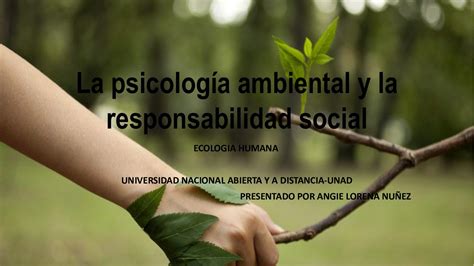 Introducir 65 Imagen Frases De Responsabilidad Empresarial Abzlocalmx