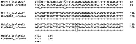 Pairwise Sequence Alignment Produced By Clustal Omega Displaying Its