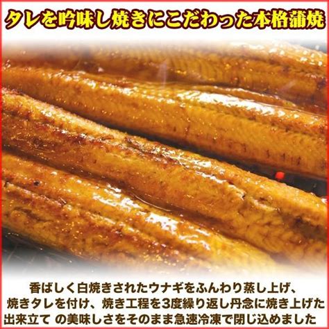 うなぎ 蒲焼き 国産 5尾約1kg 送料無料 鰻 ひつまぶし 有頭 真空包装 Unagi5bi 贈答 プレゼント ギフト お中元 丑の日