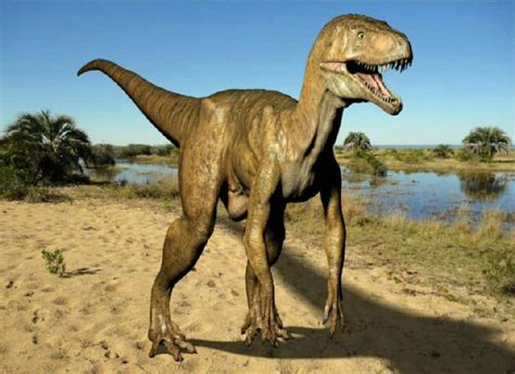 Staurikosaurus Pictures & Facts - The Dinosaur Database