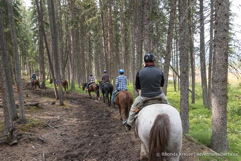 Horseback Riding in Banff- What to Expect on a Guided Banff Trail Ride