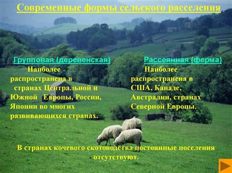 Городское и сельское население. Урбанизация, как всемирный процесс. (10 ...