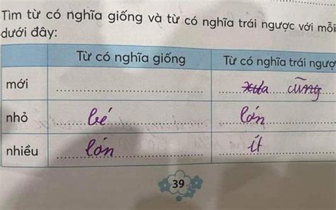 Các Từ Từ đồng Nghĩa Với Từ Mới Trong Tiếng Việt Phổ Biến Và đầy đủ Nghĩa