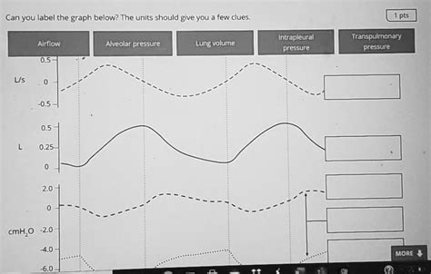 Can You Label The Graph Below The Units Should Give You A Few Clues