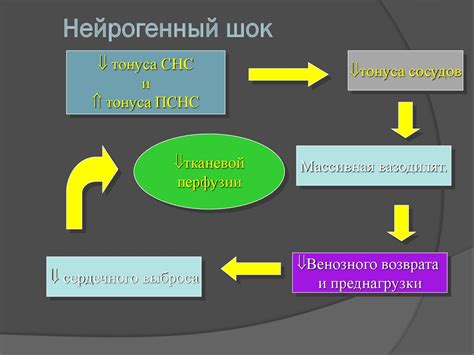 Виды шока - презентация онлайн