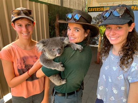 Caversham Wildlife Park Review: Get Up Close With Australia's Unique ...