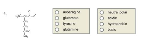 Solved Given The Following Four Amino Acids At Ph Chegg