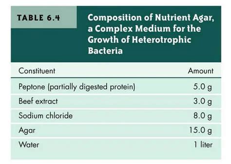 What Is Nutrient Agar Composition How To Prepare And Uses