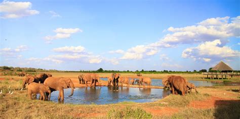 Tsavo East National Park | Kenya Safari Destinations