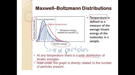 Maxwell Boltzmann Distribution Youtube