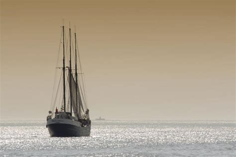 Passeios de Barco em Lisboa