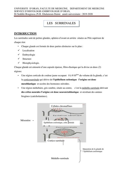 Solution Histologie De La Glande Surr Nales Studypool