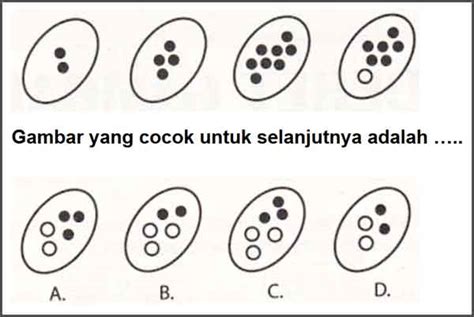 Latihan Tes Psikotes Gambar Beserta Jawabannya Beserta Jawabannya Quiz123