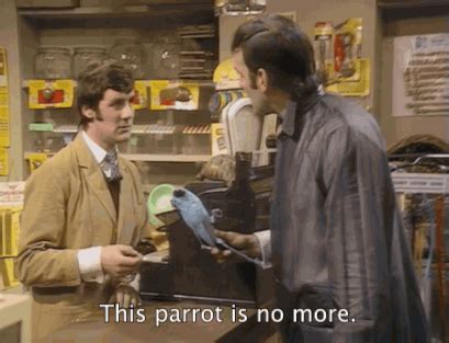 monty python parrot sketch | Tumblr