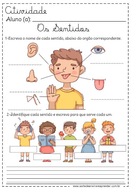 A Arte De Ensinar E Aprender Fundamental Education Busy Book