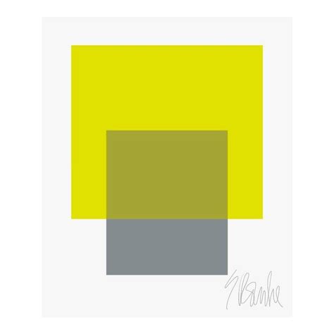 The Interaction Of Lime Green And Gray Fine Art Print 45 X 55 By Liz