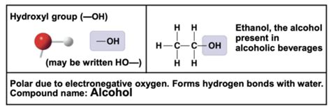 Functional Groups Flashcards Quizlet