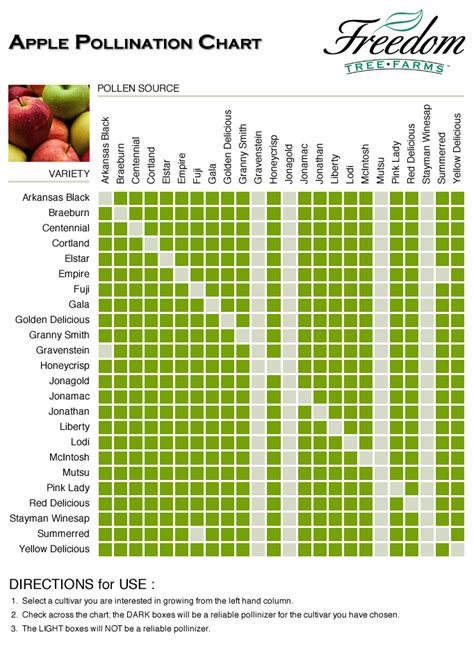 Apple Pollination Chart Pollination Potted Fruit Trees Apple Tree