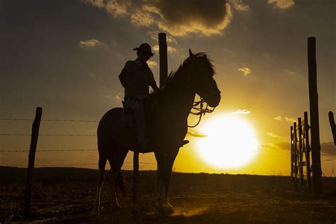 Explore Cowboy At Sunset Vaqueiro No Por Do Sol A