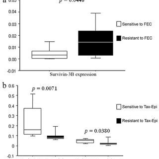 Expression Of Survivin And Survivin Splice Variants In Daoy And HeLa