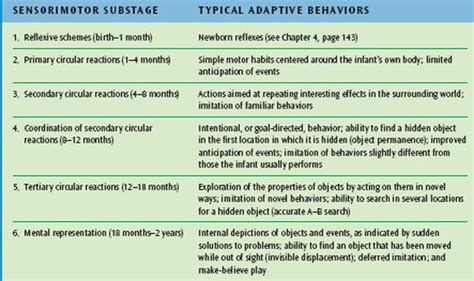 Picture | Cognitive development, Child development stages, Baby development