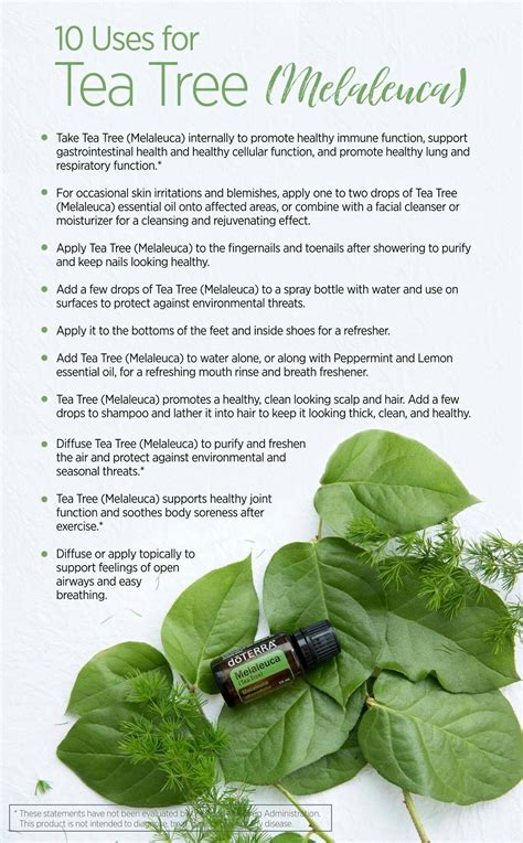 Pin On Doterra Product Information