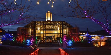 Botanical Gardens Charlotte Nc Christmas Lights - Beautiful Insanity