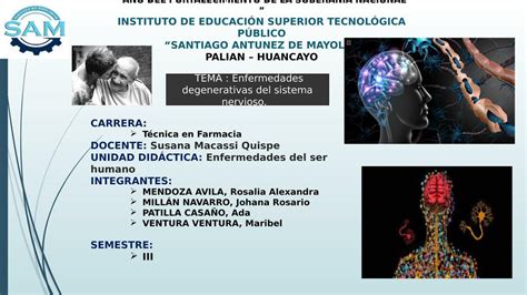 Enfermedades Degenerativas del Sistema Nervioso No eres tú soy yooo