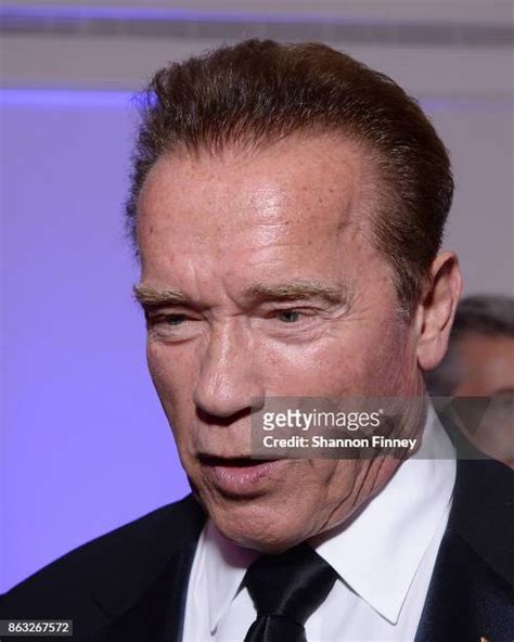 78 Honoree Arnold Schwarzenegger Photos And High Res Pictures Getty Images