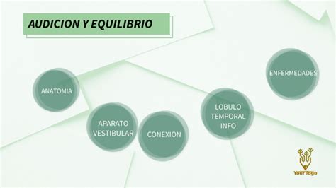 audición y equilibrio by javiera Hernandez ormazabal on Prezi