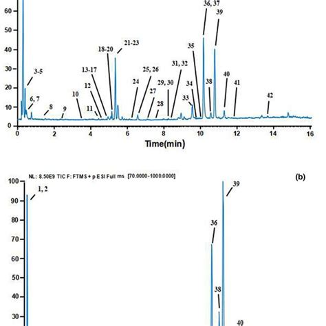 PDF Identification Of Volatile And Nonvolatile Compounds In Citri